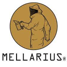 mellarius mellarius